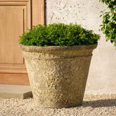 Campania Marchand Planter - Angkor Yellow